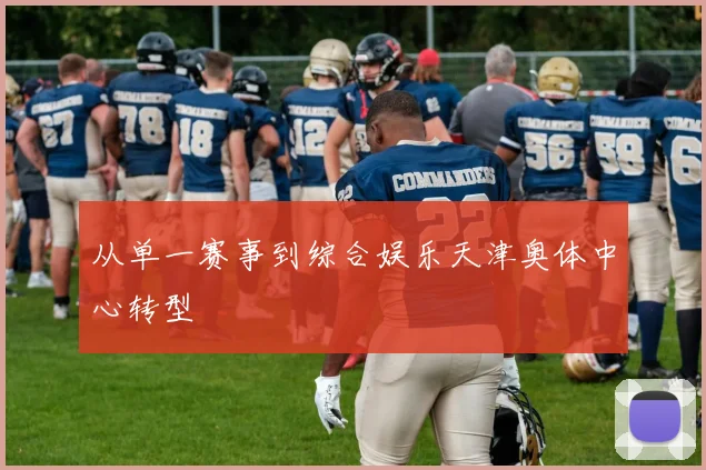 从单一赛事到综合娱乐天津奥体中心转型