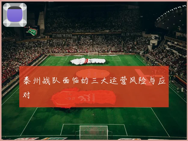 泰州战队面临的三大运营风险与应对